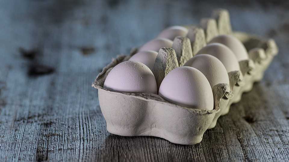 Снятся вареные яйца — толкование сна по сонникам