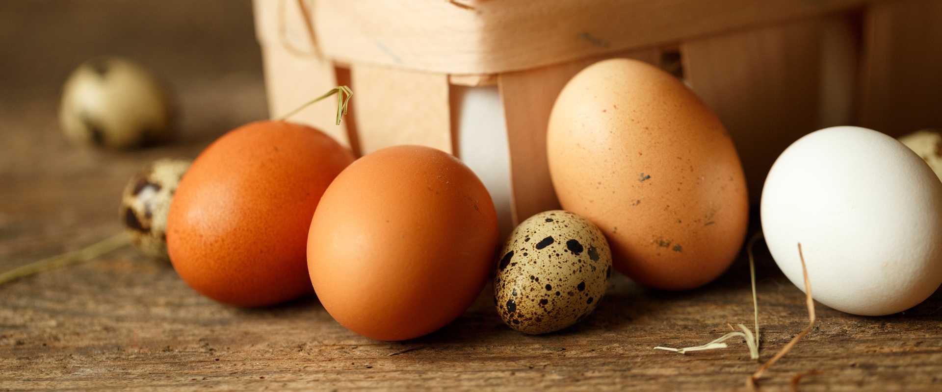 К чему снятся женщине куриные яйца: белые, свежие, тухлые, вареные, в гнезде, курятнике, на столе, собирать, покупать, есть, разбить