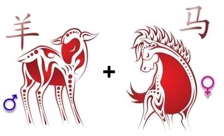 Год козы совместимость. Лошадь знак зодиака. Год козы и лошади. Лошадь и коза совместимость. Лошадь знак зодиака изображение.