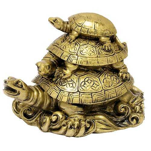 Символ черепахи по фэн-шую: что означает, приметы, легенды и где лучше расположить в доме