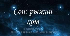 К чему снится рыжий кот: сонник, толкование сна