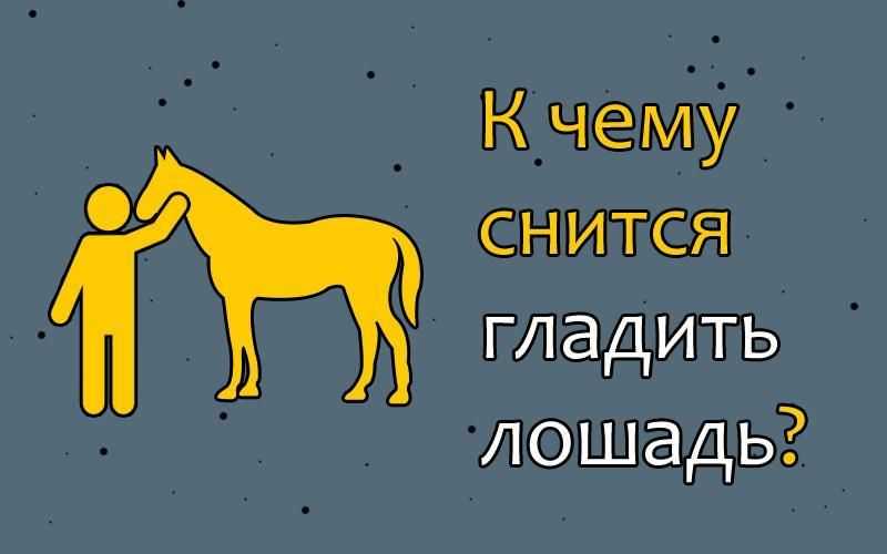 Сонник: к чему снится во сне лошадь? :: syl.ru