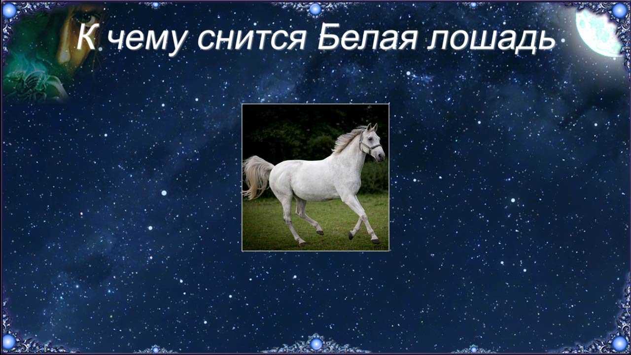 К чему снится белая лошадь мужчине на сайте сонник гуру