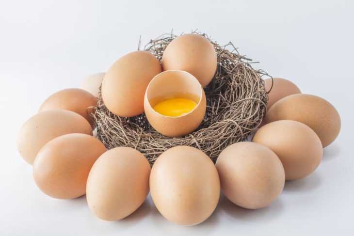 К чему снятся яйца куриные? что значит видеть во сне много яиц?