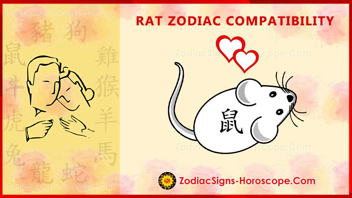 Год крыса мужчина совместимость. Совместимость крысы. Китайский гороскоп крыса. Крыса и кот совместимость в любви и браке. Гороскоп кот крыса.