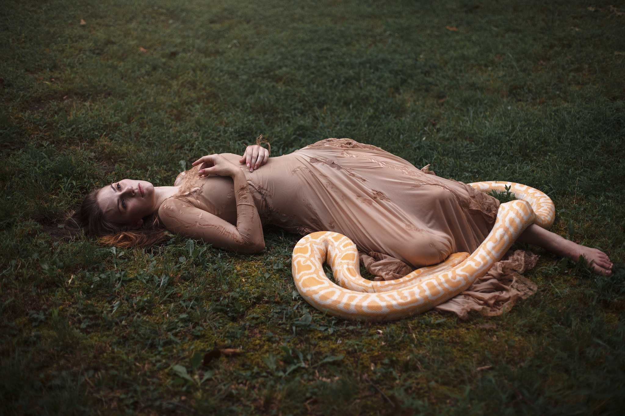 Приснилась большая змея — толкование сна по сонникам