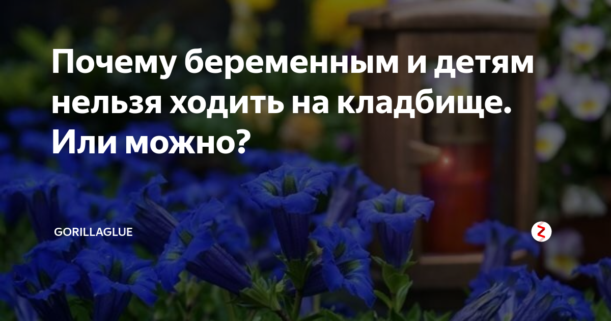 Почему беременным женщинам нельзя ходить на кладбище? | ripme.ru — агрегатор ритуальных агентств россии