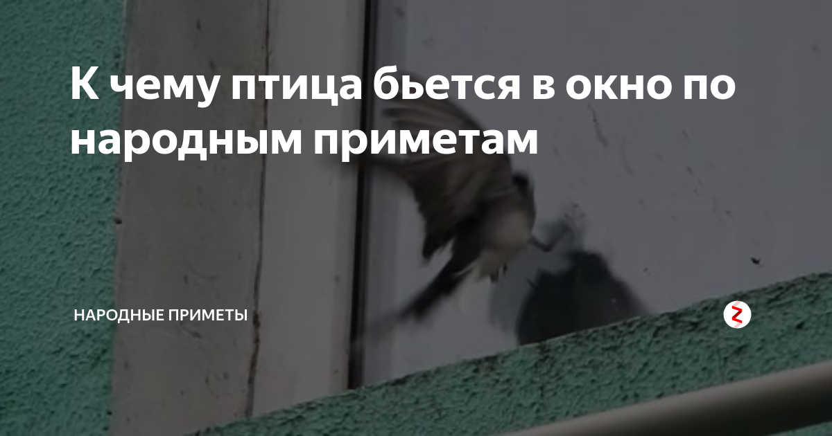 Стук в окно ночью, днем и вечером: народные приметы - значение по времени суток