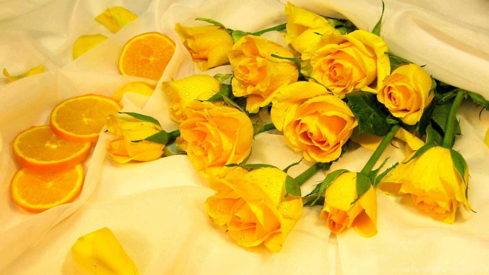 В каких случаях дарят желтые розы - автор ирина колосова - журнал женское мнение