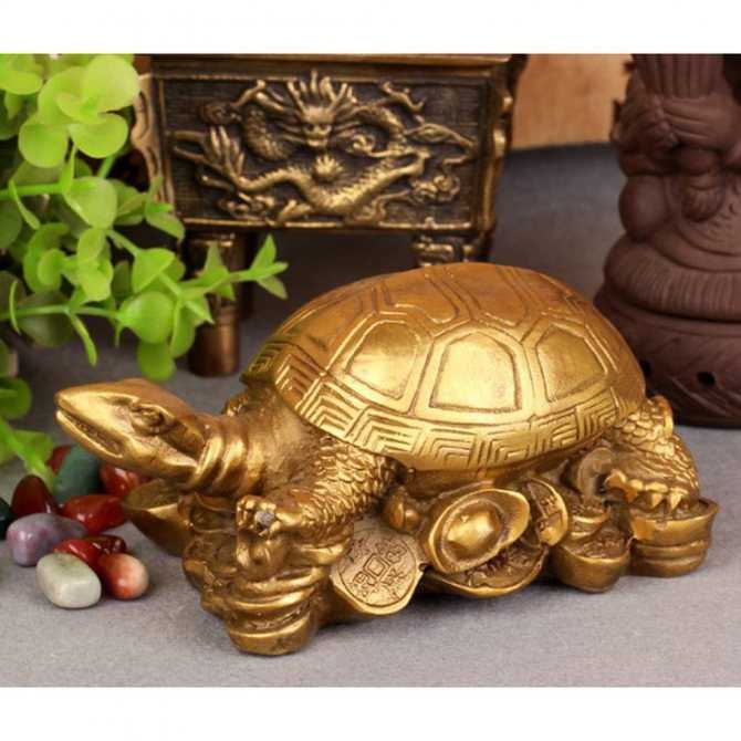 Мощный денежный талисман: черепахи в фен-шуй, описание и правила расположения