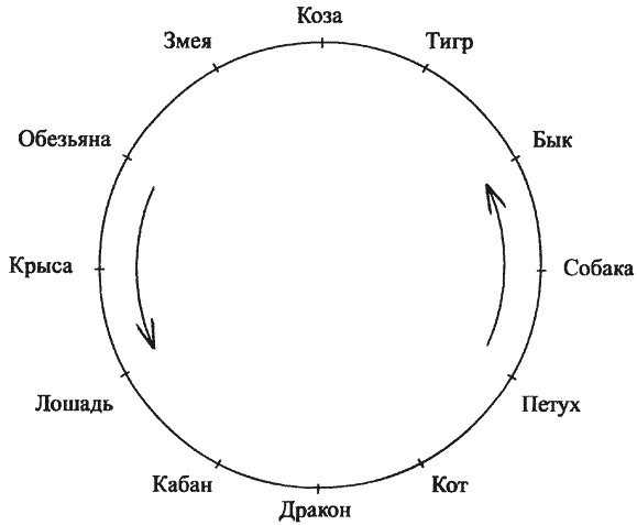 Дракон: гороскоп совместимости с другими знаками