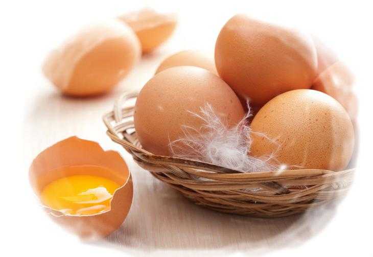 Сонник к чему снятся яйца куриные на сайте сонник гуру