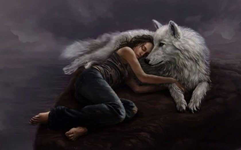 Волки нападают во сне: трактовка сновидения