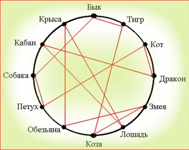 Восточный гороскоп. совместимость кабана с другими знаками