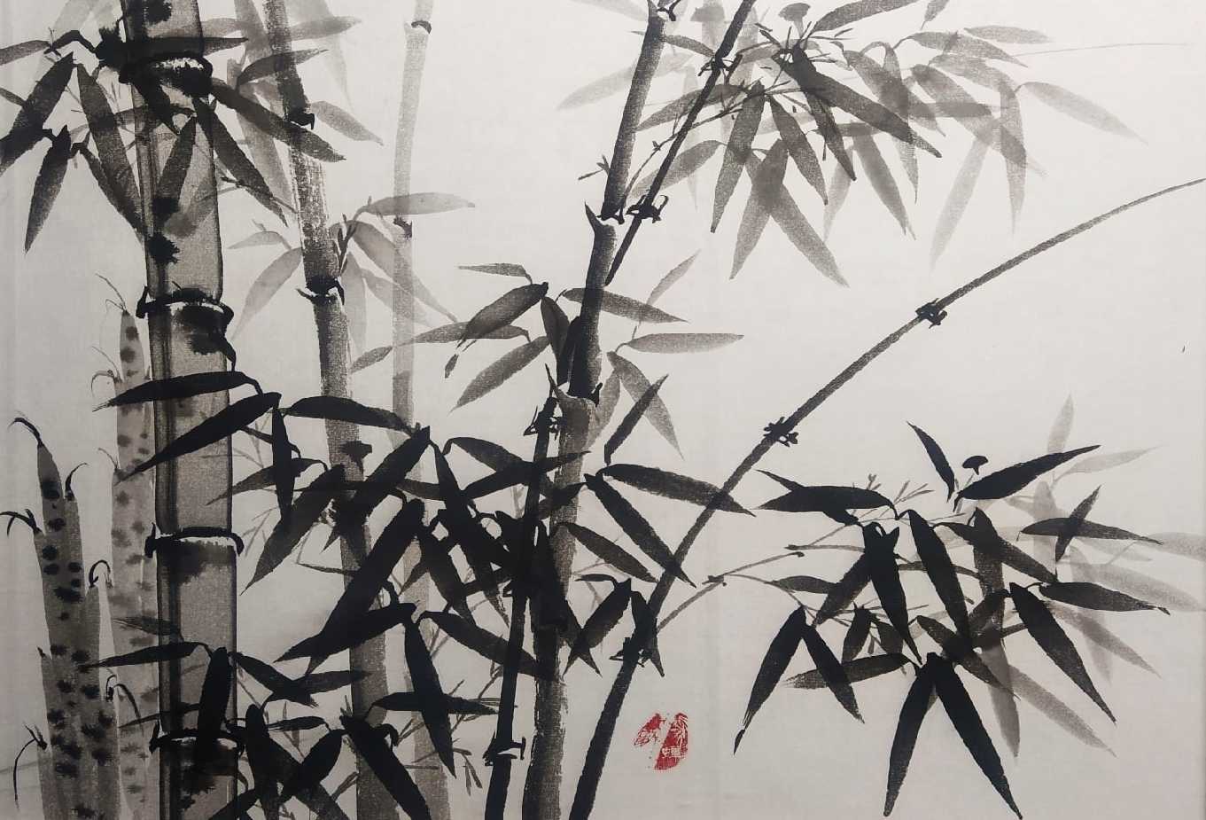 Бамбук комнатный – приметы и суеверия о растении по фен шуй