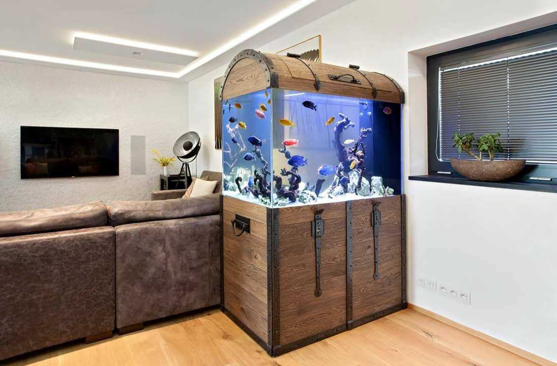 Куда ставить аквариум по правилам фен шуй и сколько рыбок нужно для гармонии