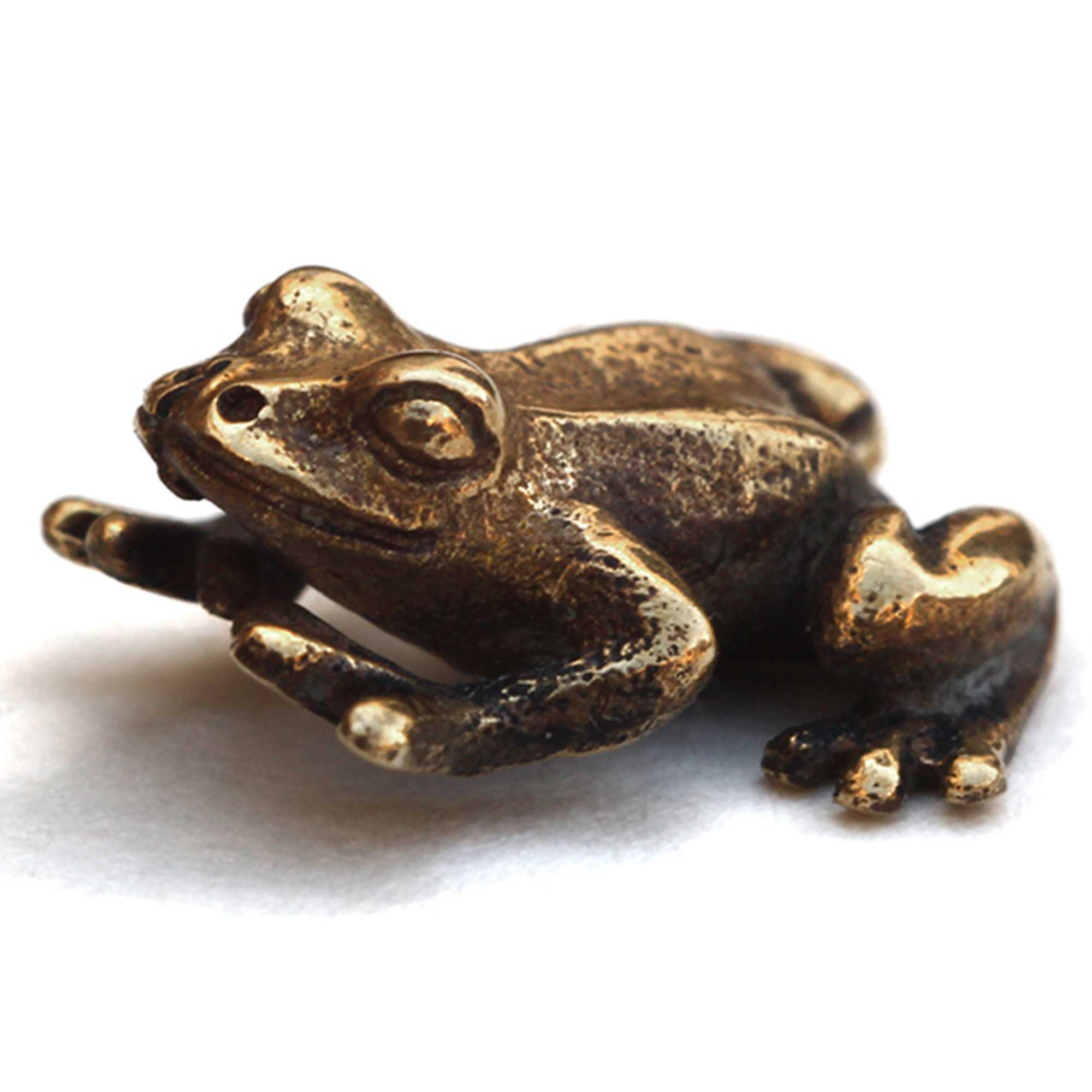 Денежная жаба - описание оберега, история, правила использования