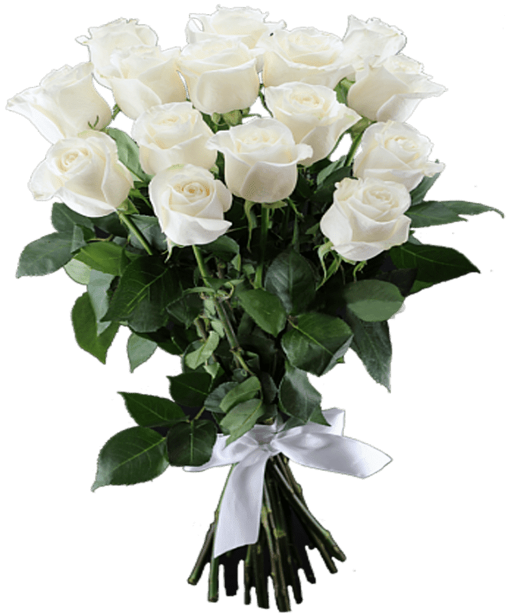 Белые розы что значит. Шикарный букет белых роз. Красивый букет белых роз. Красивый букет из белых цветов. Огромный букет белых роз.