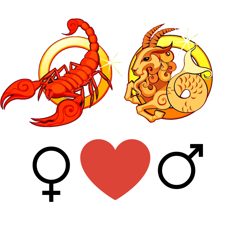Скорпион – козерог: совместимость в любовных отношениях