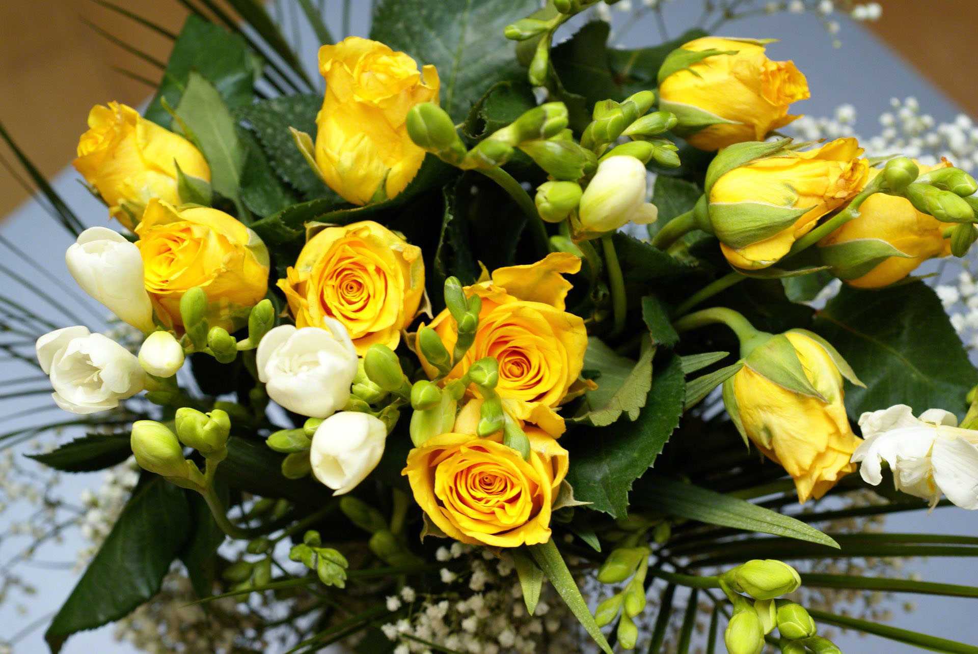 Жёлтые розы: к чему дарят, на какие праздники уместны
