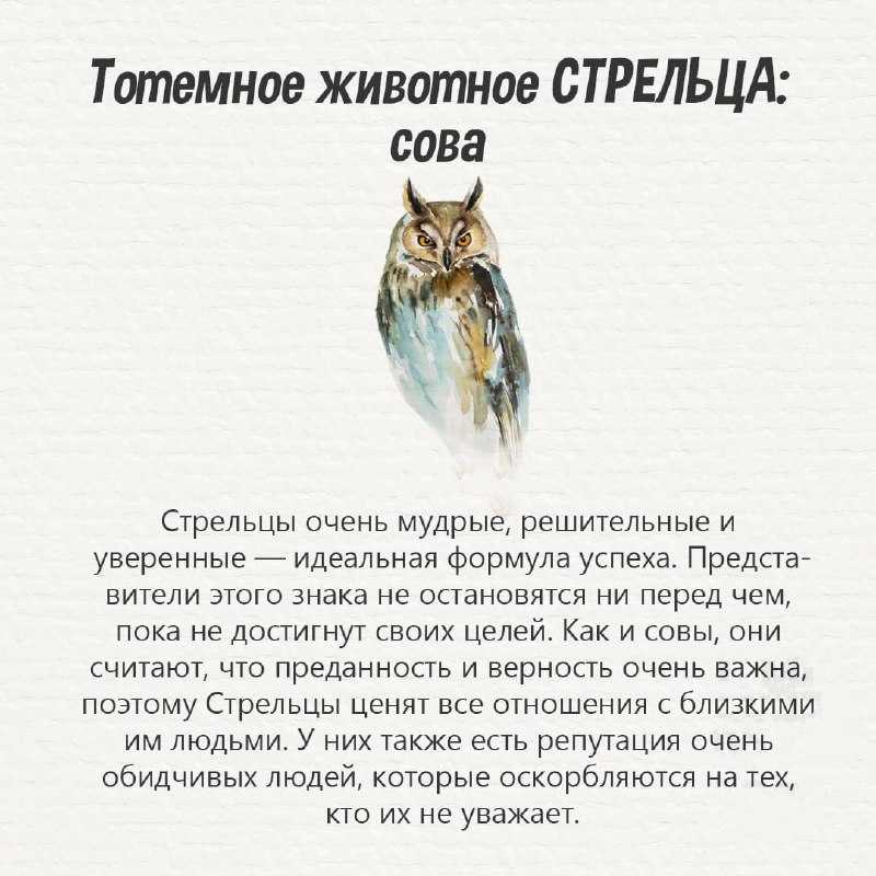 Обереги по дате рождения и знаку зодиака: как найти подходящий, славянские символы
