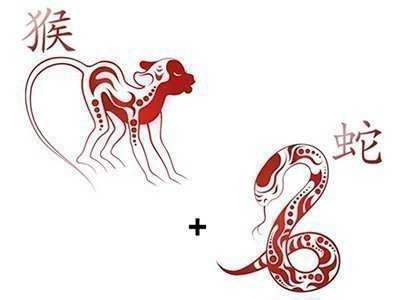 Китайский гороскоп — совместимость обезьяны с другими символами