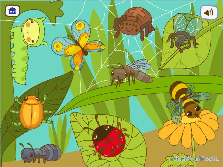 Познавательное развитие тема насекомые. Насекомые для дошкольников. Насекомые для ДОШКОЛЬНИКЛ. Насекомые задания для дошкольников. Насекомые иллюстрации для детей.