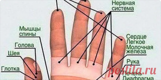 Примета: порезать палец левой или правой руки, указательный, большой, средний и другие