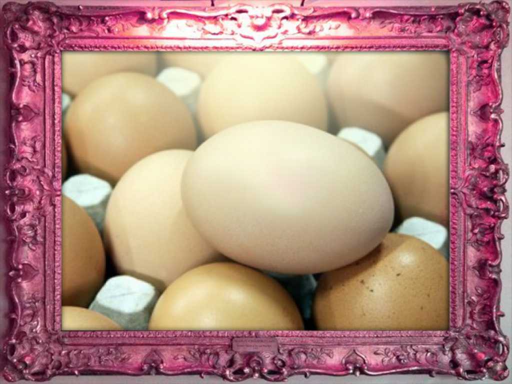 Куриные яйца во сне – к чему снятся женщине, мужчине