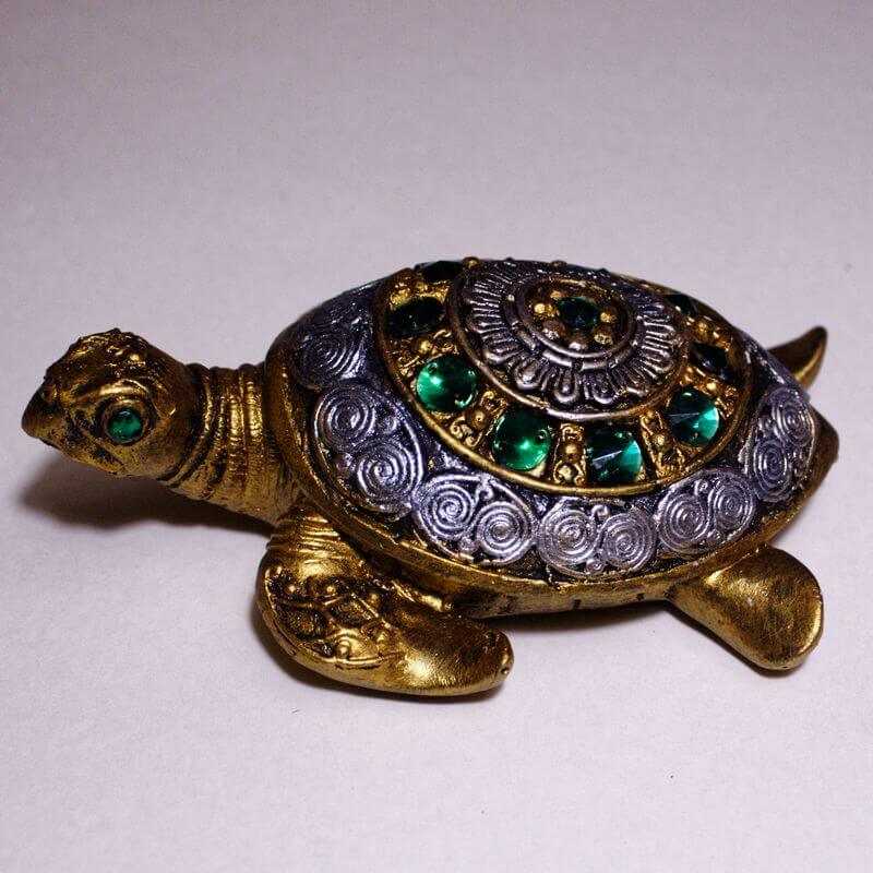 Черепаха символ чего: что означает талисман по учению фен шуй