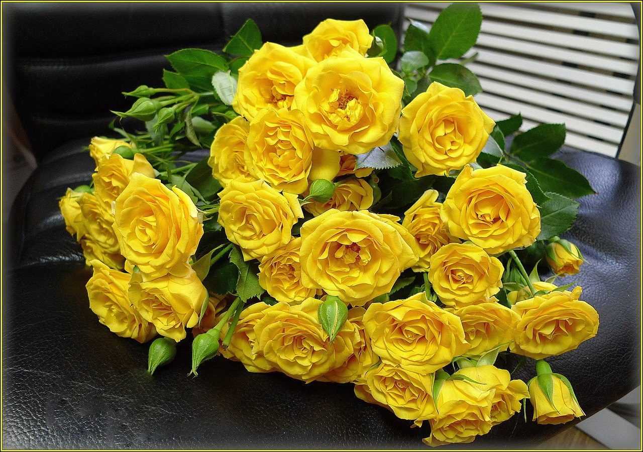 К чему дарят желтые розы: значение для женщины, почему означают разлуку