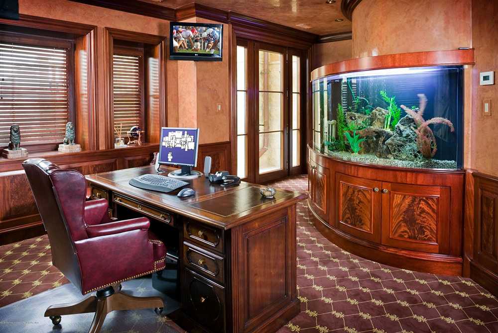 Зачем в офисе рыбки: аквариумная психотерапия