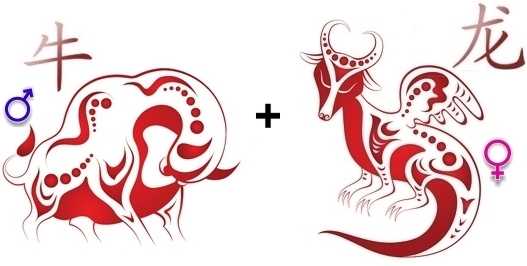 Китайский гороскоп для дракона и совместимость с другими знаками