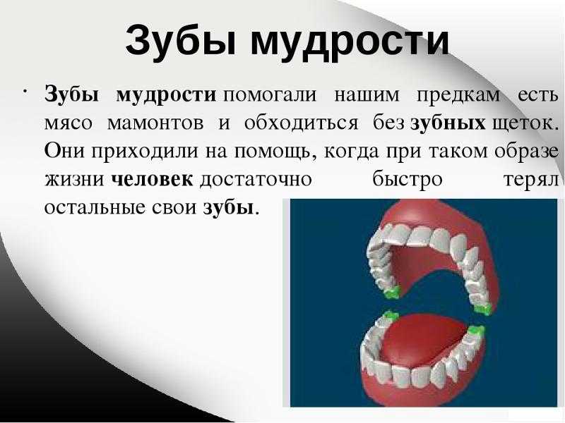 Как режется зуб мудрости: симптомы и возможные осложнения