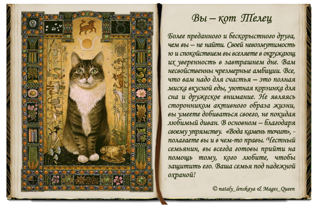 Какая кошка подходит по знаку зодиака: совместимость человека с породами котов по гороскопу