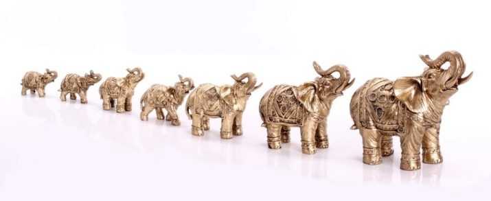 Слон по фен-шуй: значение символа и других животных