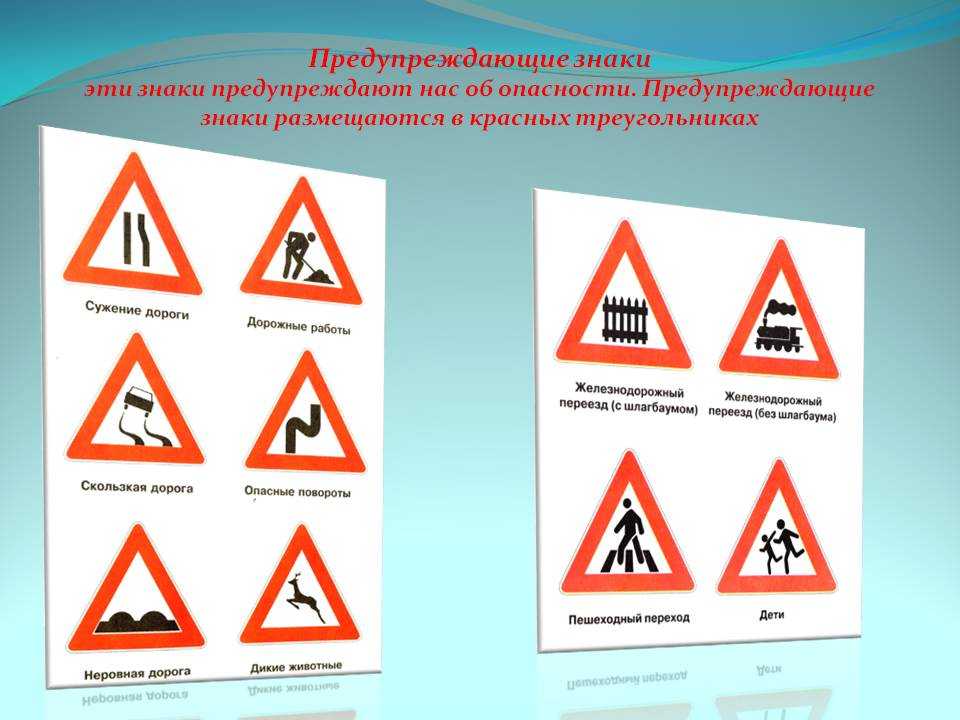 Народные приметы про домашних и диких птиц — суеверия