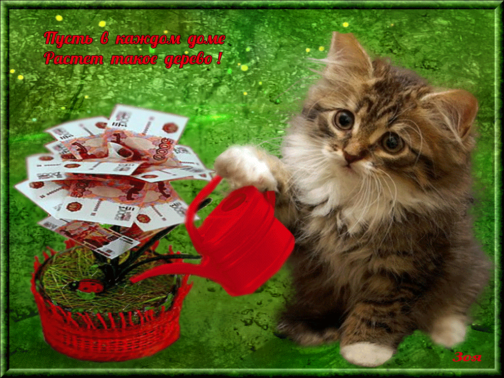 Удачи в личной жизни. Красивые котята с пожеланиями. Разные открытки. Кот с пожеланиями. Открытка успехов.