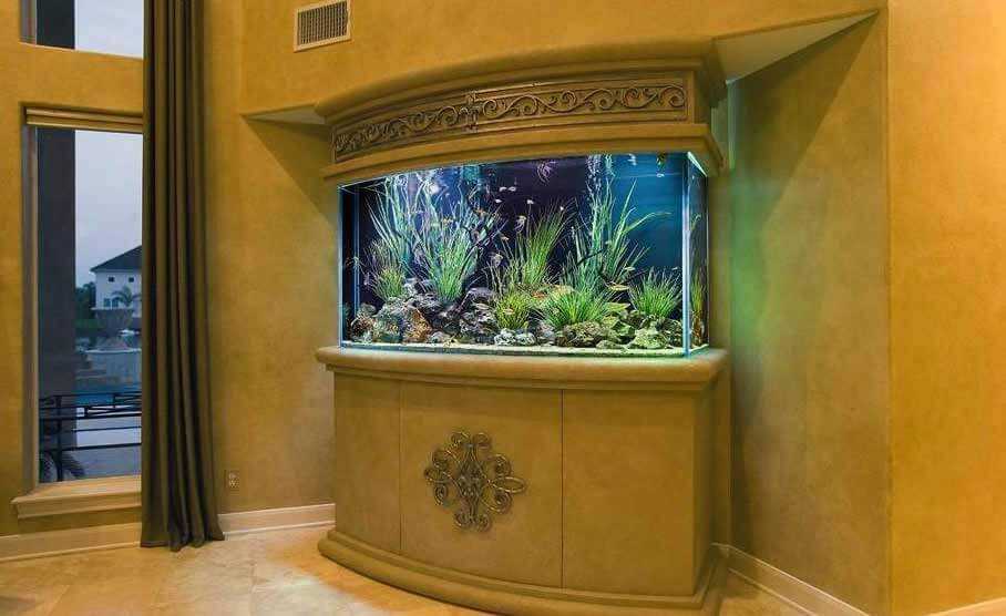 Аквариум в квартире по фен шуй: описание,фото,видео | аквариумные рыбки
