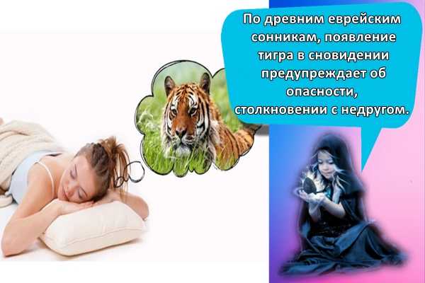 Убегать во сне от тигра: значение и толкование сна - tolksnov.ru