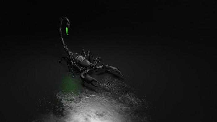 Сонник: скорпионы, кчему снятся скорпионы во сне приснились