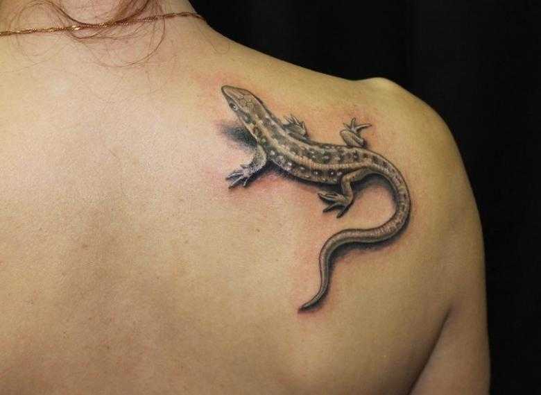 Tattoo • значение тату: саламандра