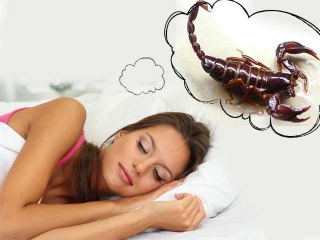 13 самых распространенных знаков в снах и их значение